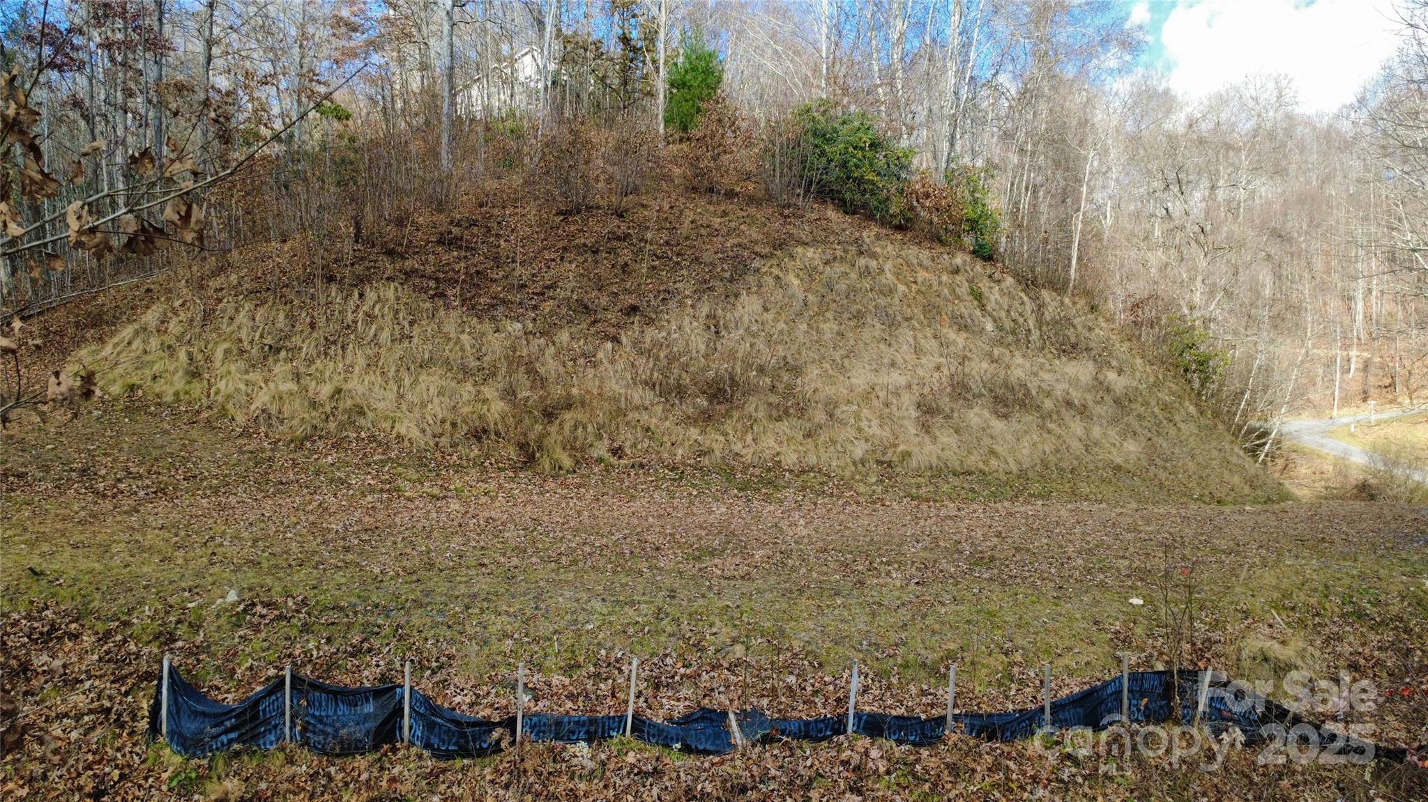 97 Junebug Trail Waynesville, NC 28785 - Photo 13 of 15 a view of a garden with plants and large trees