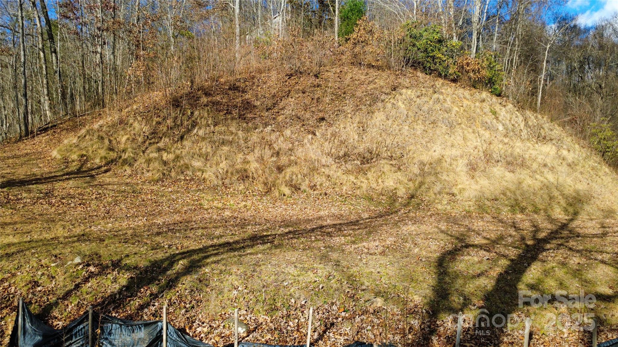 97 Junebug Trail Waynesville, NC 28785 - Photo 14 of 15 a view of a yard with trees