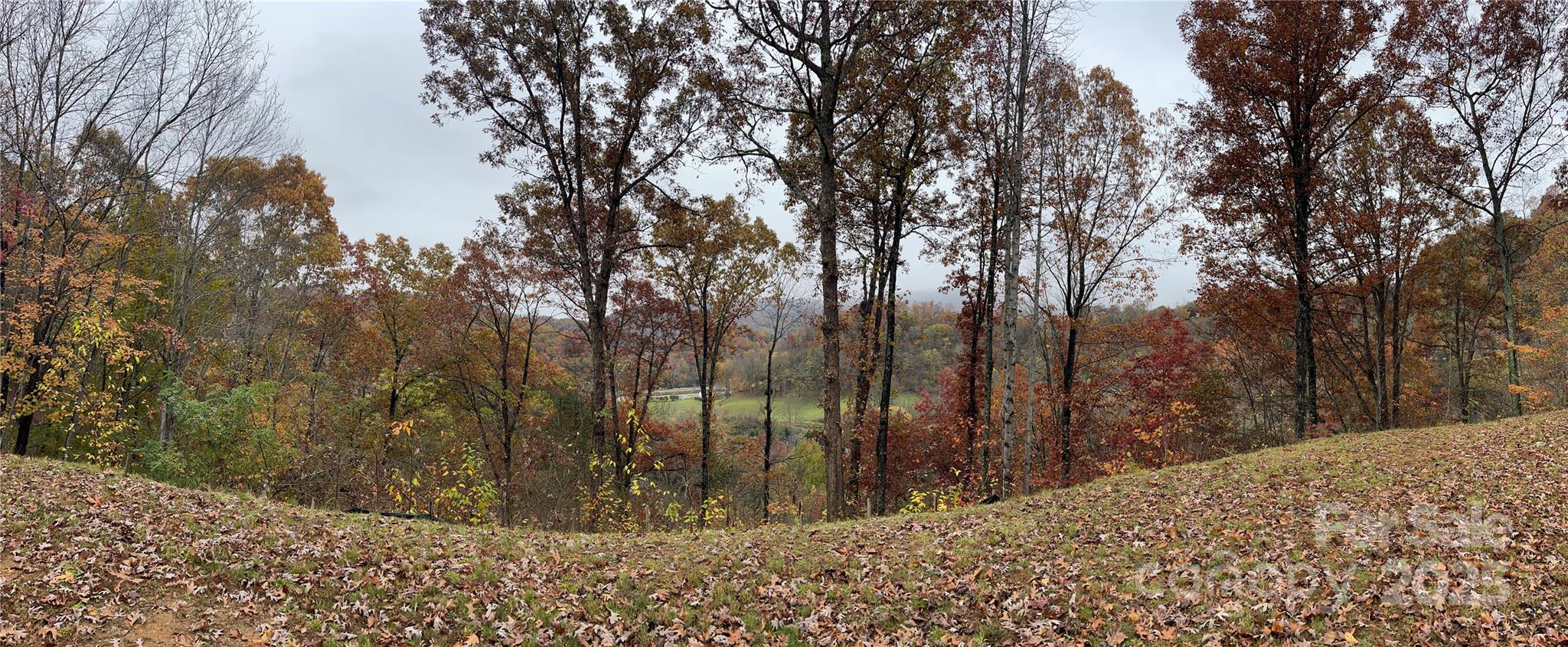 97 Junebug Trail Waynesville, NC 28785 - Photo 15 of 15 a view of a covered with snow in the background