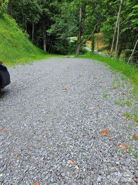 97 Junebug Trail Waynesville, NC 28785 - Photo 2 of 15 a view of a field with plants and trees