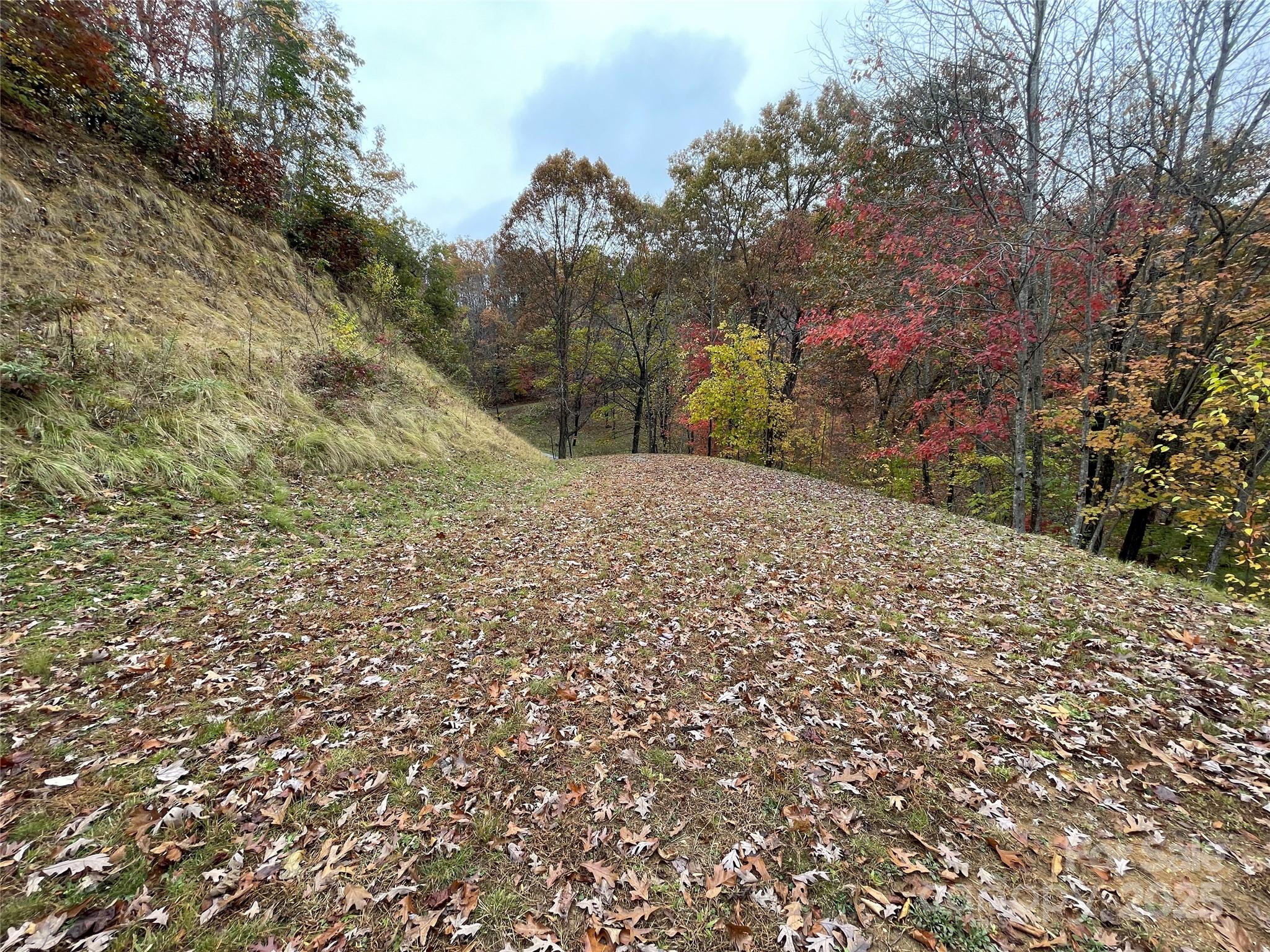 97 Junebug Trail Waynesville, NC 28785 - Photo 3 of 15 a view of a backyard of the house