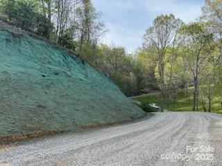 97 Junebug Trail Waynesville, NC 28785 - Photo 4 of 15