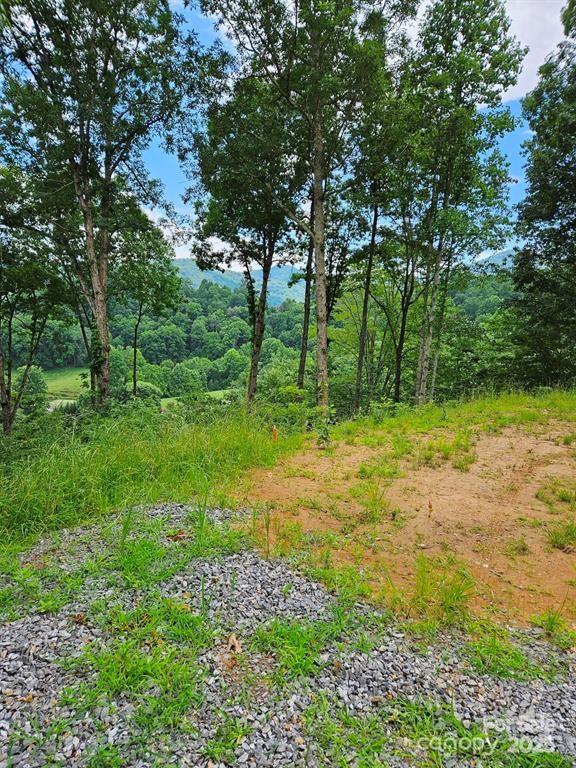 97 Junebug Trail Waynesville, NC 28785 - Photo 6 of 15 a view of backyard with green space