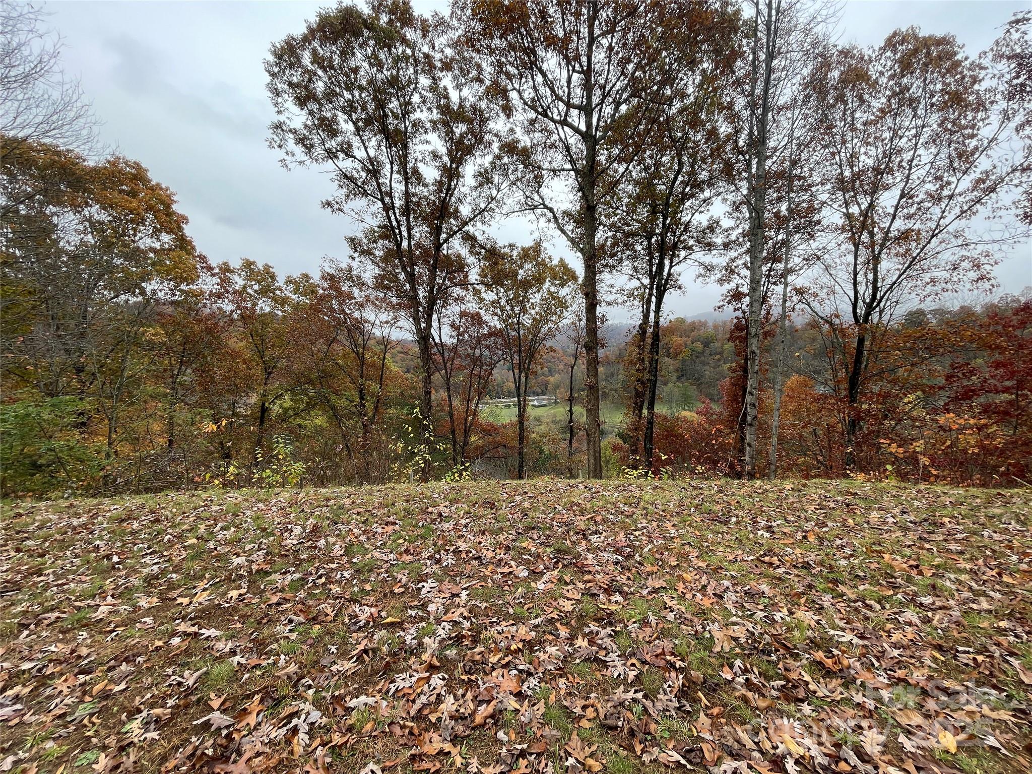 97 Junebug Trail Waynesville, NC 28785 - Photo 7 of 15 a street view with large trees