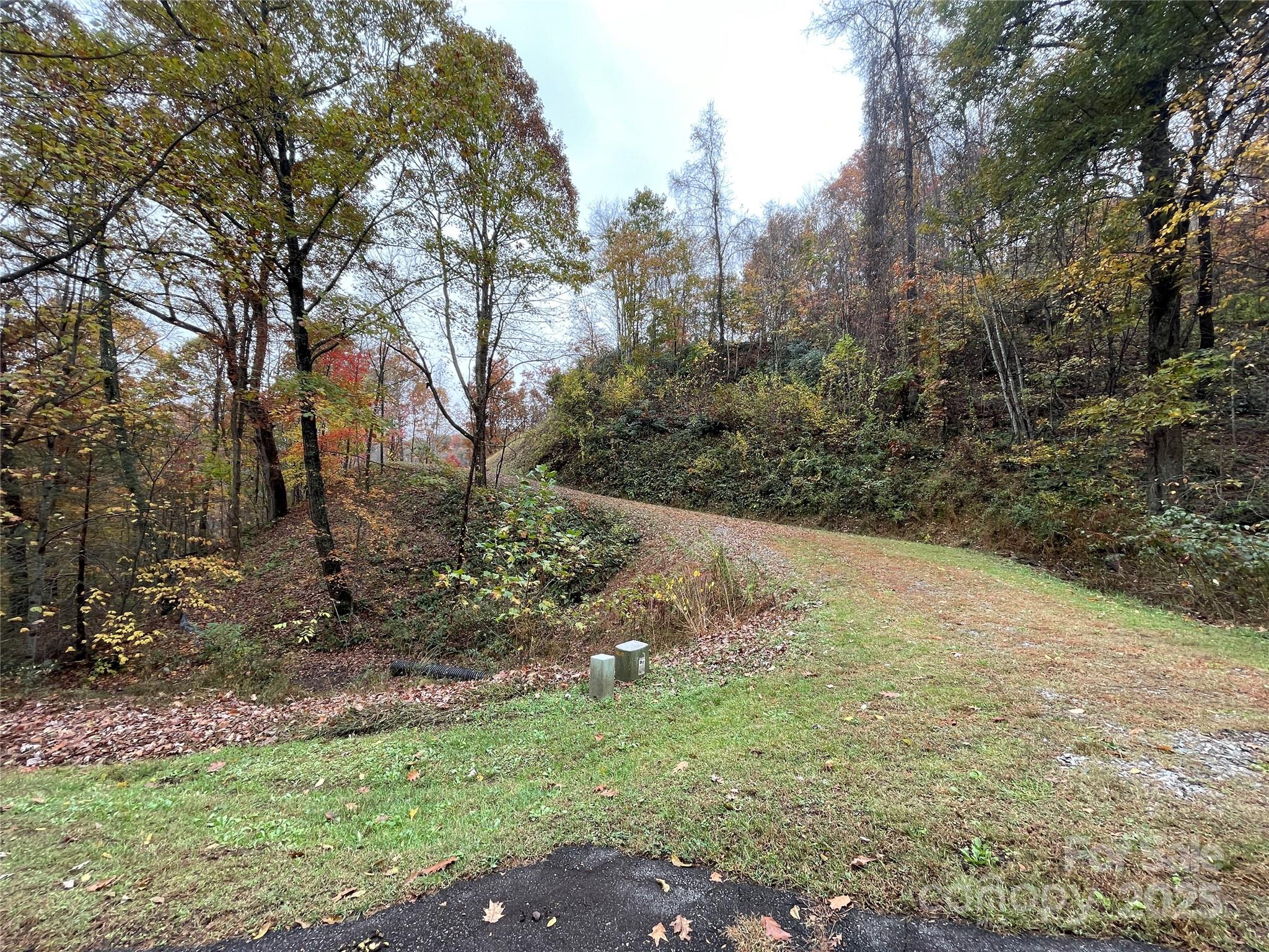 97 Junebug Trail Waynesville, NC 28785 - Photo 9 of 15 a view of a yard with trees