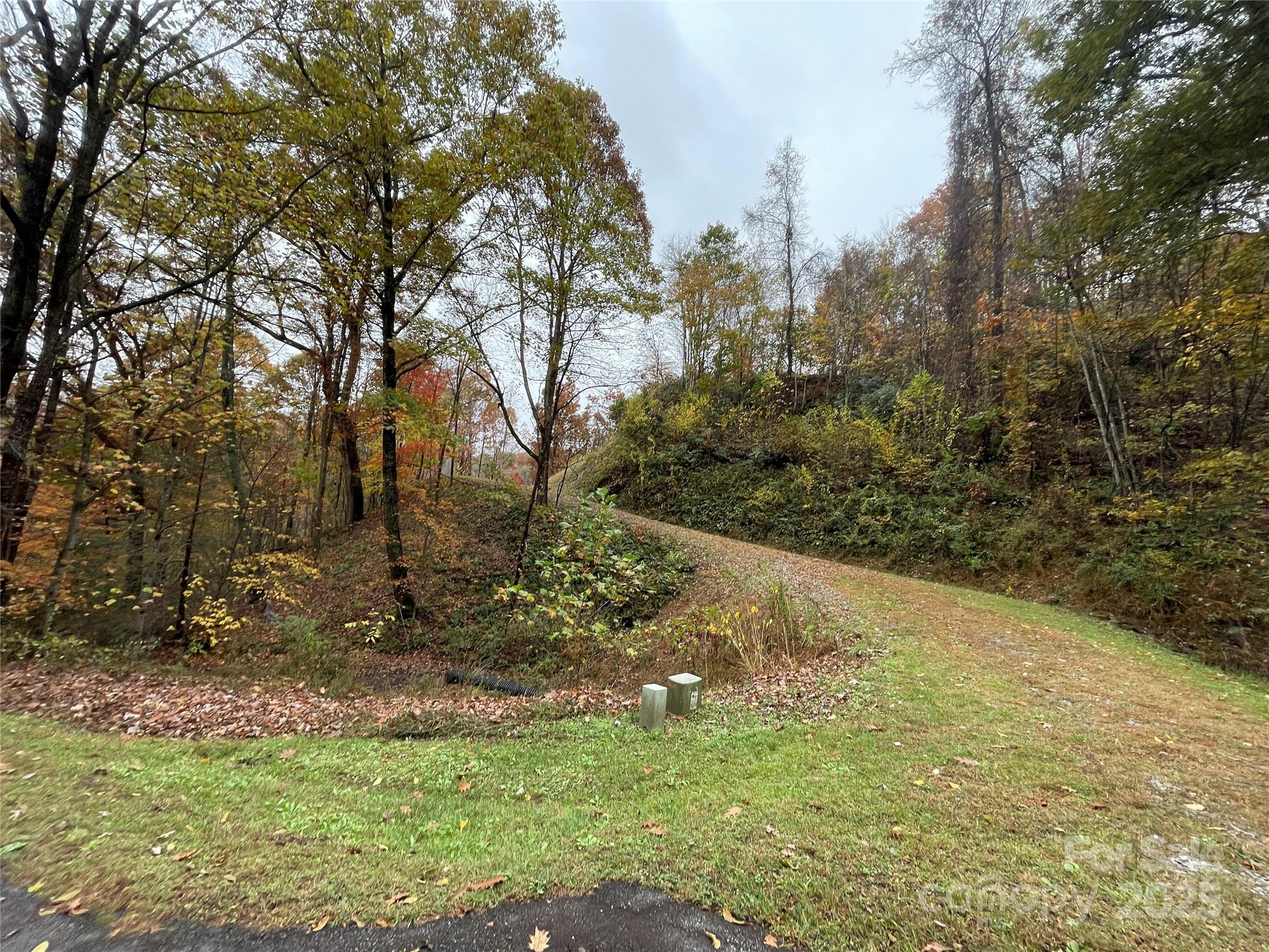 97 Junebug Trail Waynesville, NC 28785 - Photo 10 of 15 a backyard of a house with lots of green space