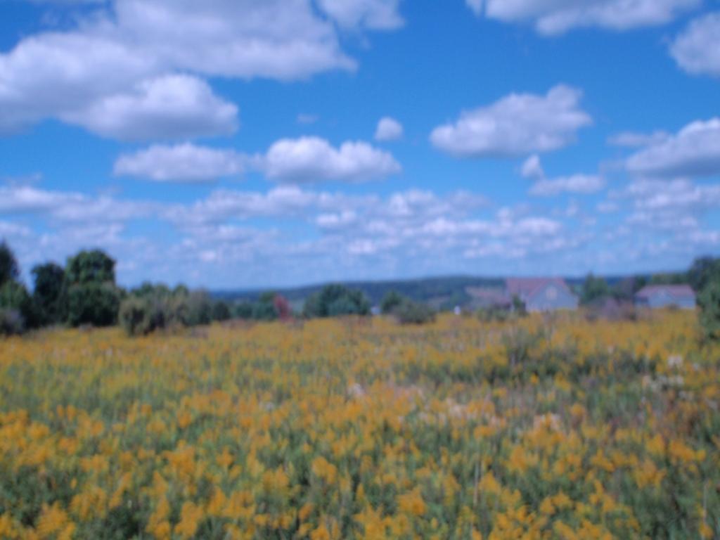 322 Pease Hill Road Whitney Point, NY 13862 - Photo 3 of 7 Gallery Image 3