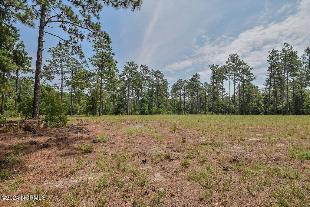 2528 Lakebay Road Vass, NC 28394 - Photo 7 of 29 2528LakebayRd-02