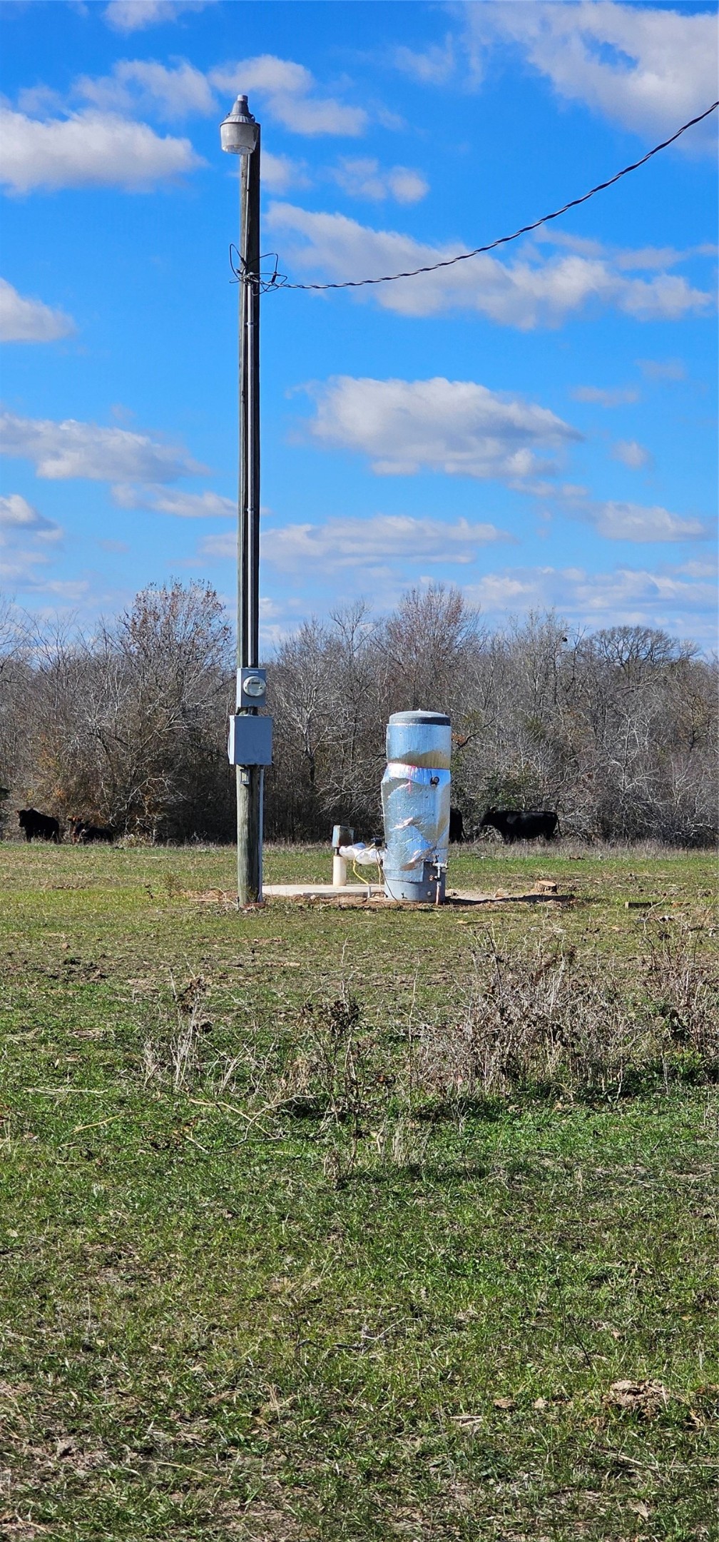 Tbd Davis Road Bedias, TX 77831 - Photo 5 of 9 a view of a outdoor space