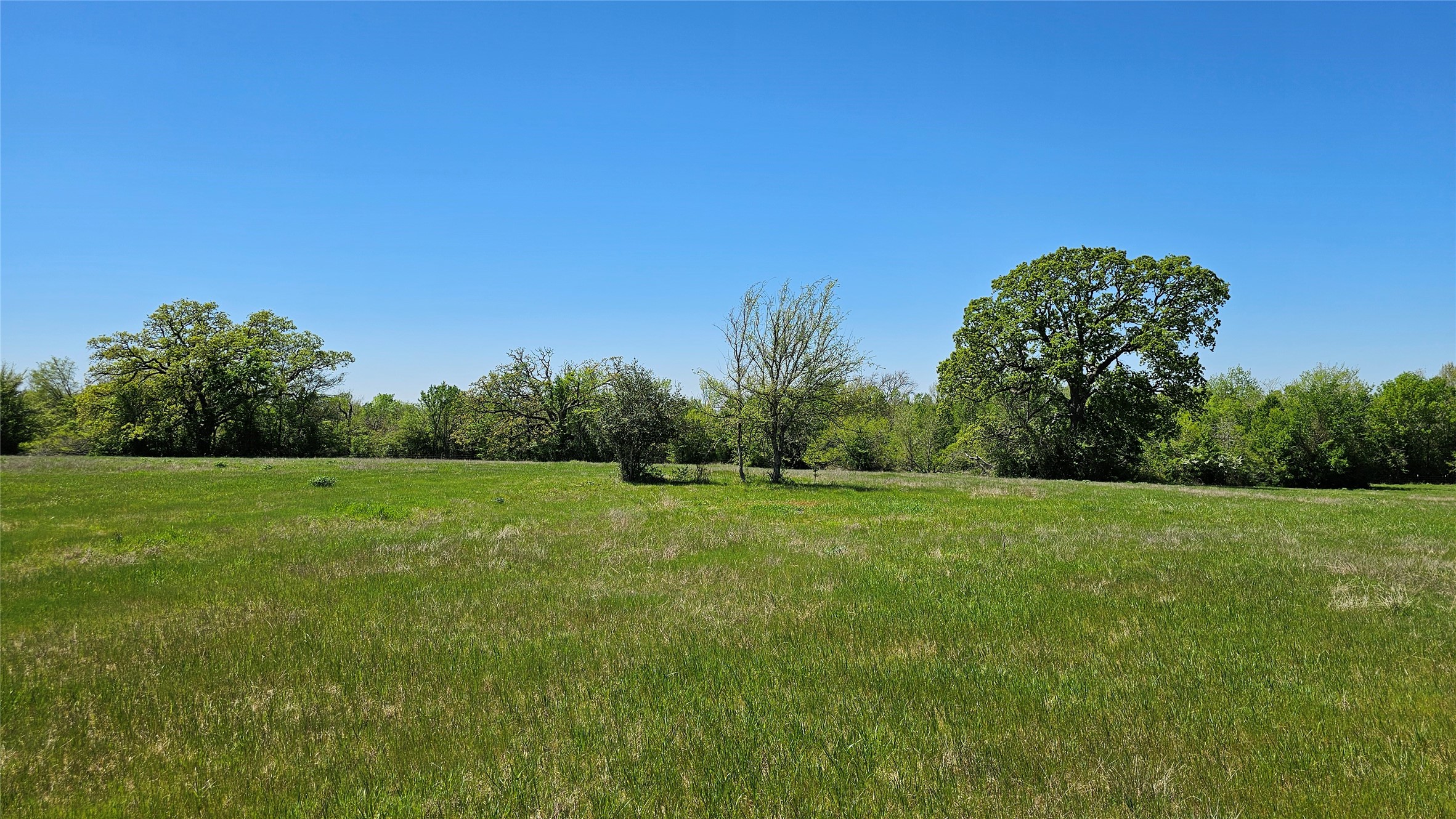 Tbd Davis Road Bedias, TX 77831 - Photo 9 of 9 a view of field with trees in the background
