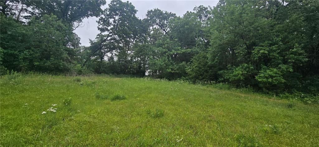 12668 East Panama Road Nevada, MO 64772 - Photo 3 of 8