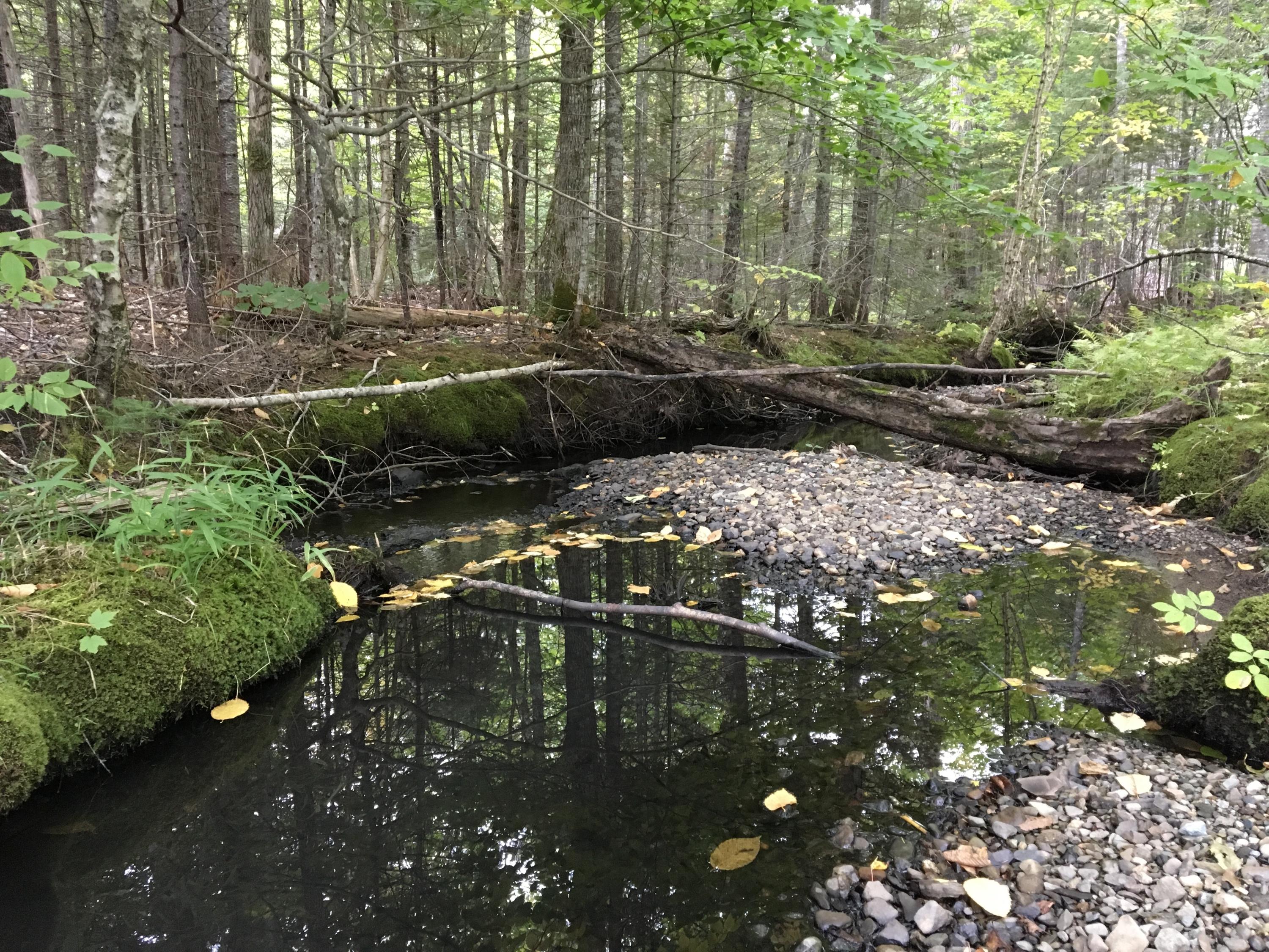 Lot 69 Cyr Rd Mount Mount Chase, ME 04765 - Photo 5 of 14 Photo Sep 17, 12 48 16 PM