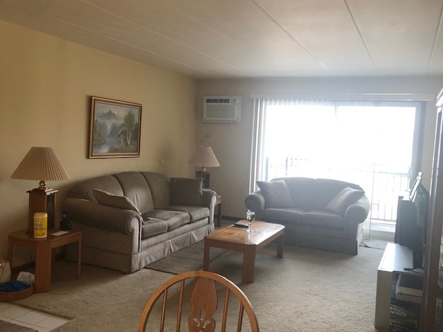 6430 Pamela Lane, Unit 7 Chicago Ridge, IL 60415 - Photo 3 of 10 Gallery Image 3