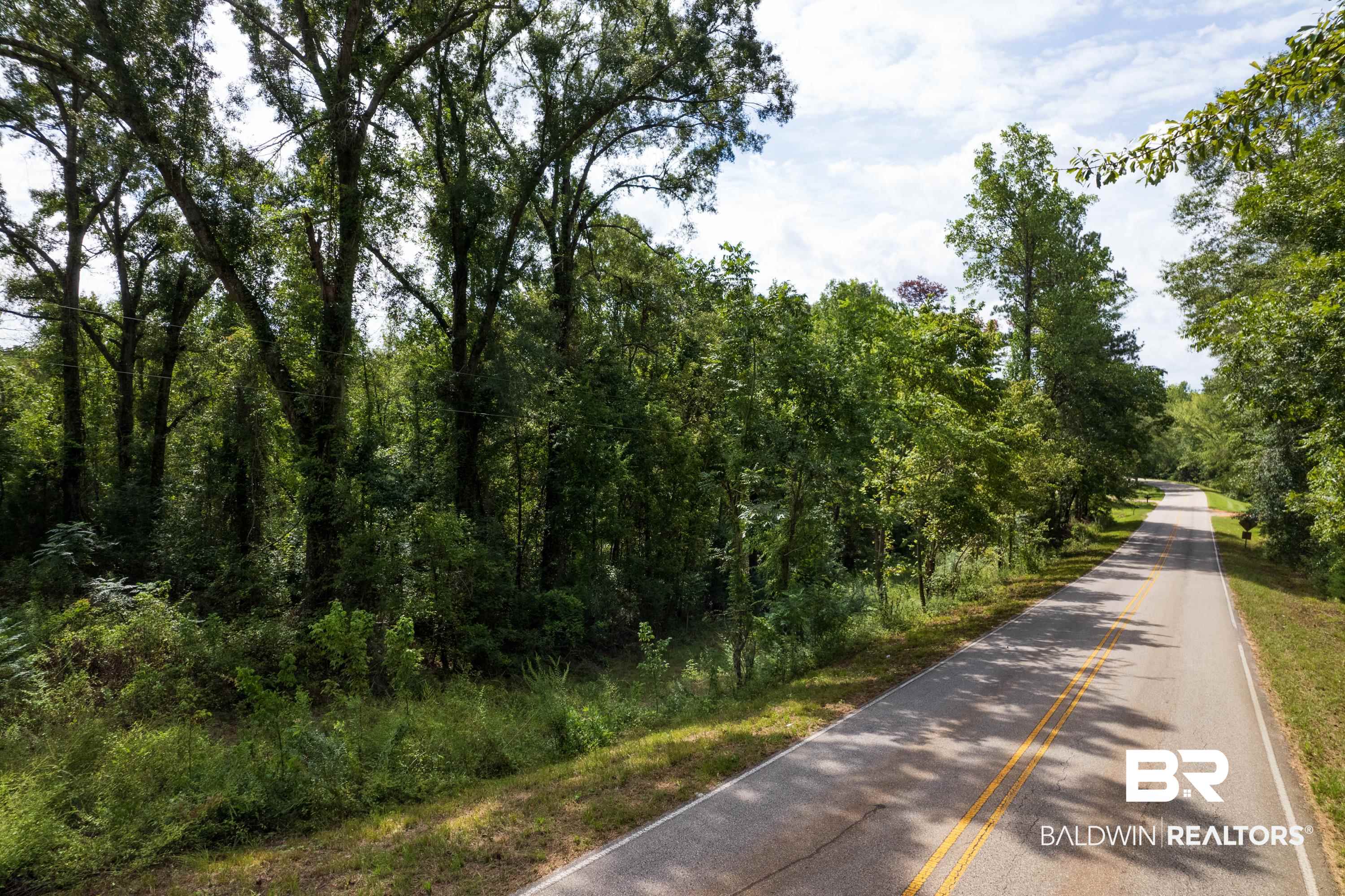 0 Chilton Road Grand Bay, AL 36541 - Photo 1 of 13
