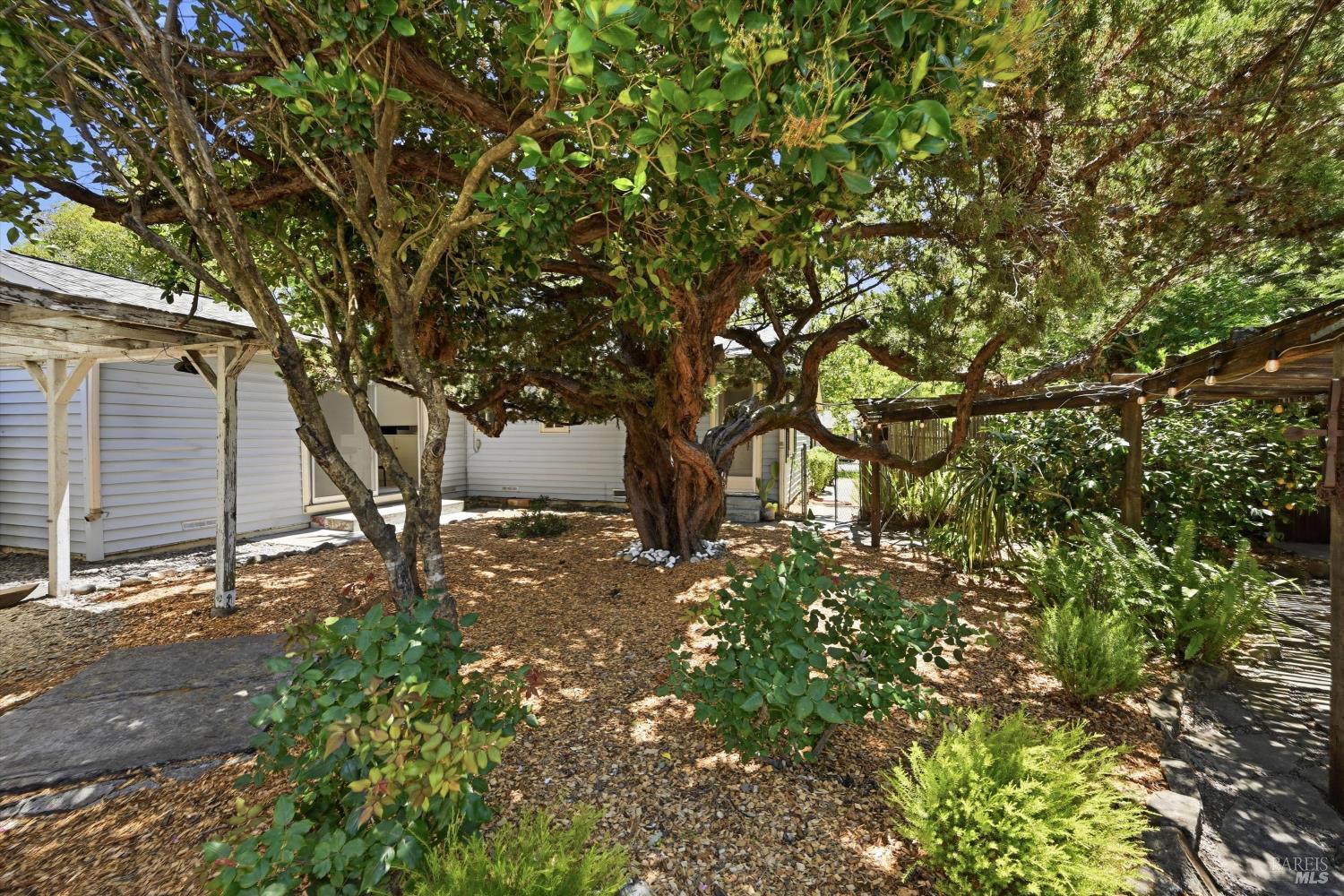 4941 Hansen Drive Santa Rosa, CA 95409 - Photo 18 of 35 Shaded courtyard just off the dining room