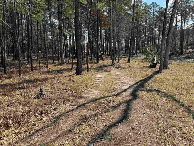 a view of a backyard with large trees
