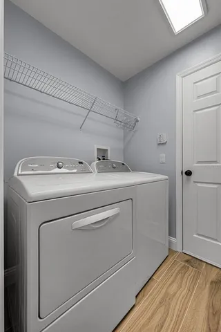 a view of a backyard with plants and large tree