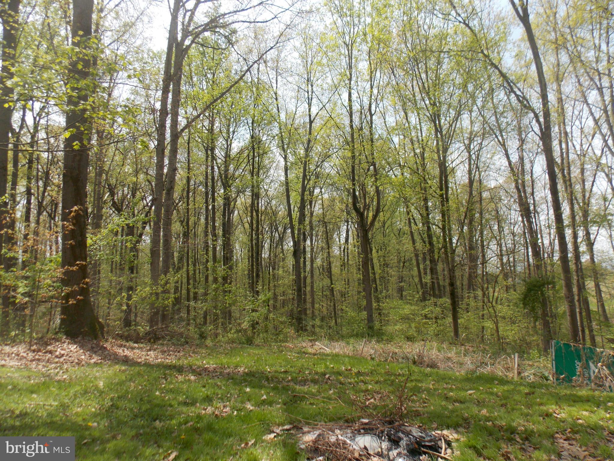 3039 Menges Mill Road Taneytown, MD 21787 - Photo 24 of 25 a view of backyard with green space