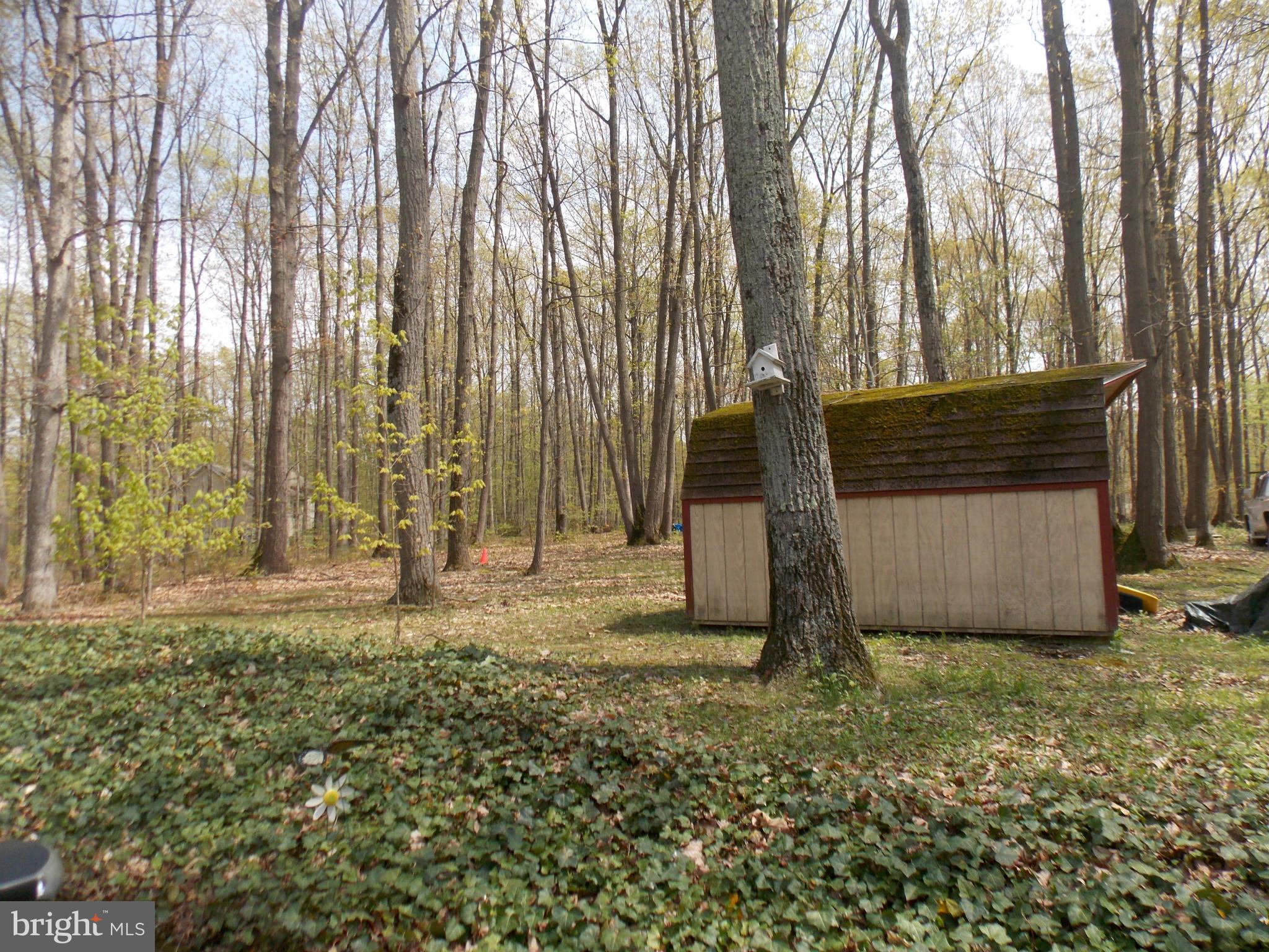 3039 Menges Mill Road Taneytown, MD 21787 - Photo 25 of 25 a view of outdoor space and yard