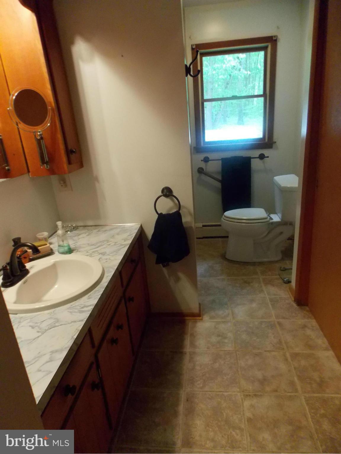 3039 Menges Mill Road Taneytown, MD 21787 - Photo 10 of 25 a bathroom with a sink and a mirror