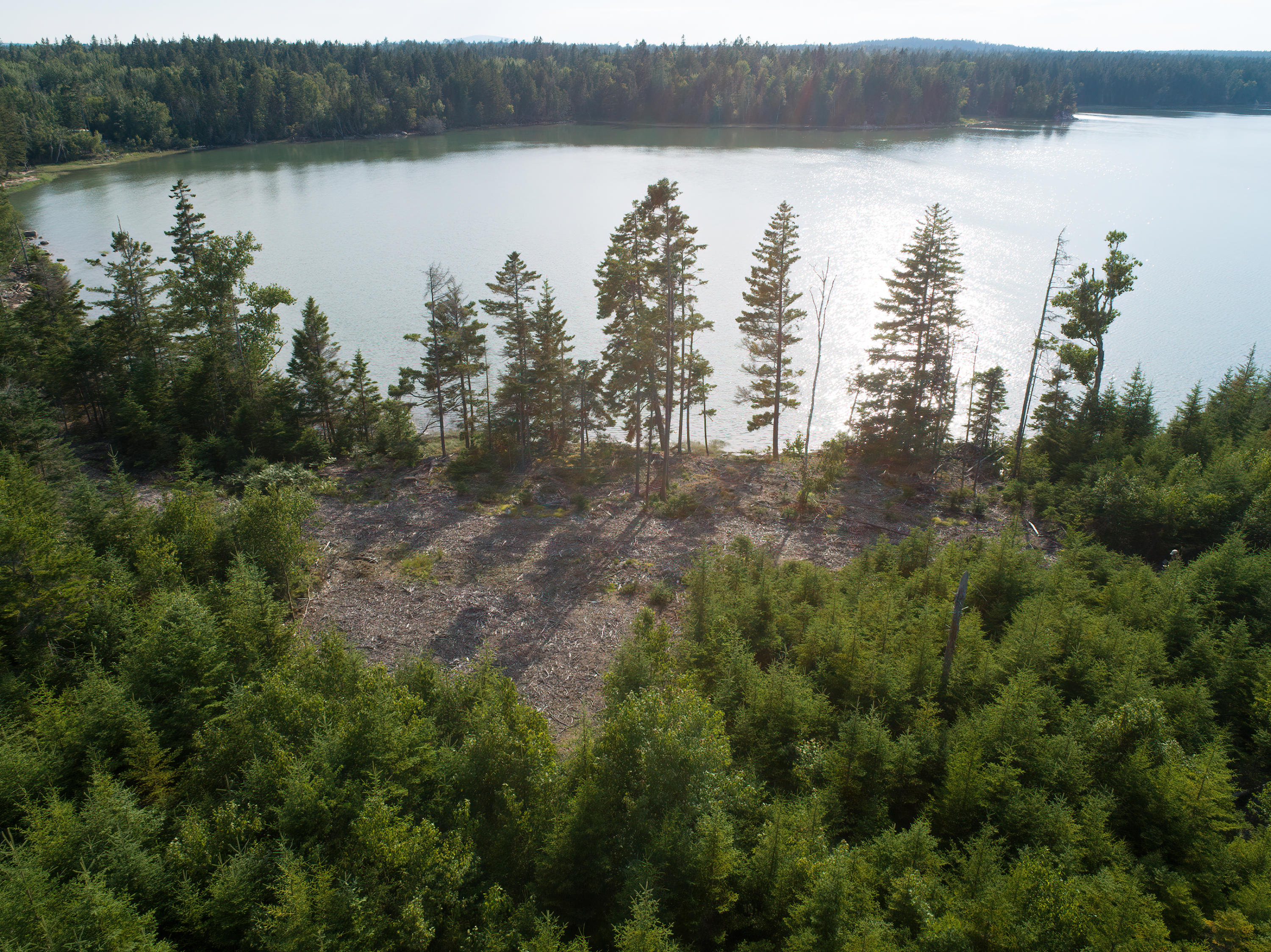 32 Peninsula Shores Road Corea, ME 04624 - Photo 20 of 23 32 Pennisula Shores HiRes (23)