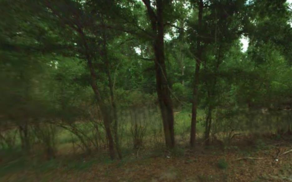 9600 County Line Road Midland, GA 31820 - Photo 1 of 1 Main View