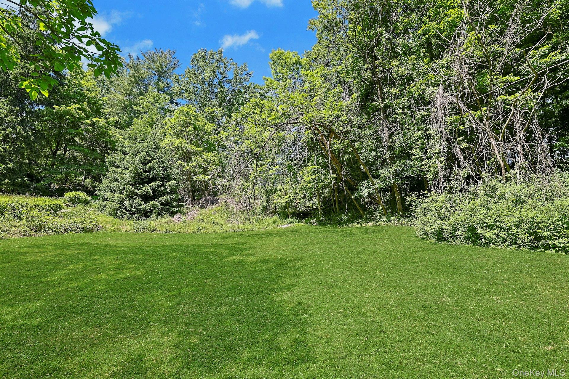 65 Douglas Road Chappaqua, NY 10514 - Photo 35 of 41 With plenty of space to enjoy, the yard offers room to relax, entertain, play, and take in the peaceful beauty of the surrounding landscape.