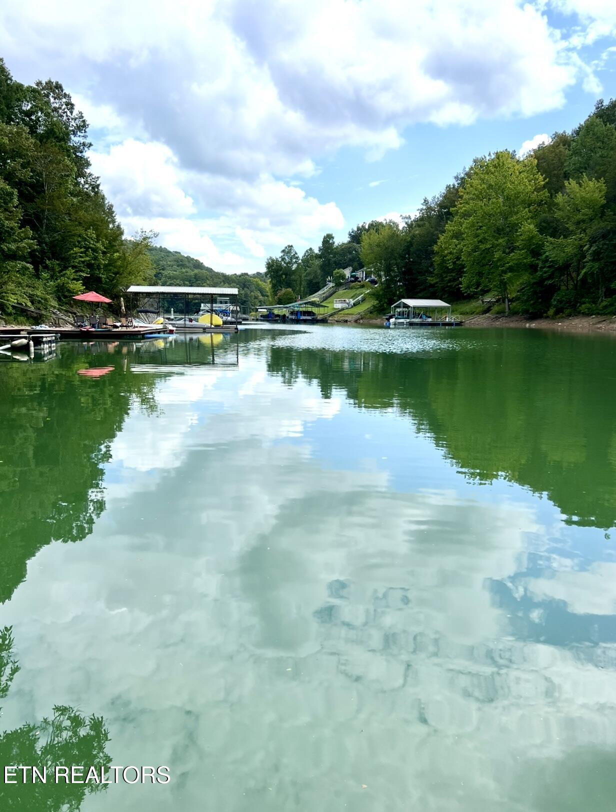 166 Jessee Road Maynardville, TN 37807 - Photo 45 of 48 IMG_0862