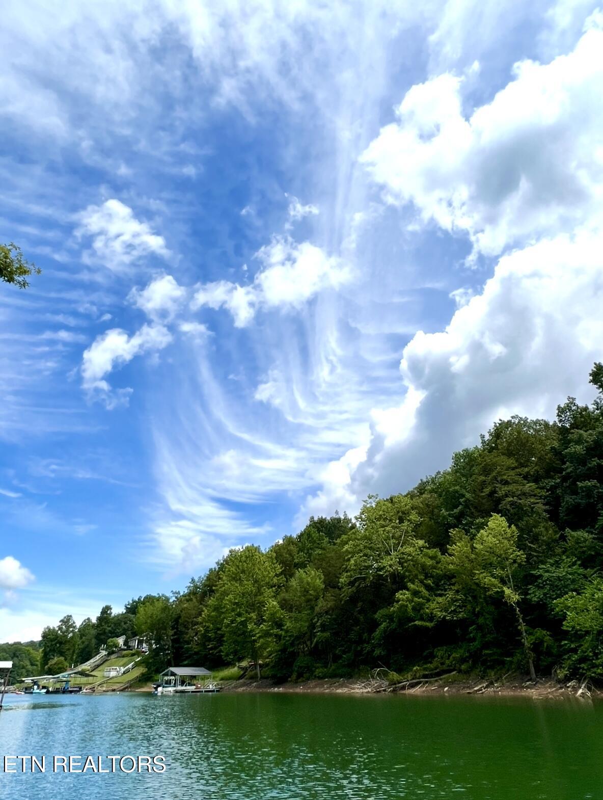 166 Jessee Road Maynardville, TN 37807 - Photo 47 of 48 IMG_0854