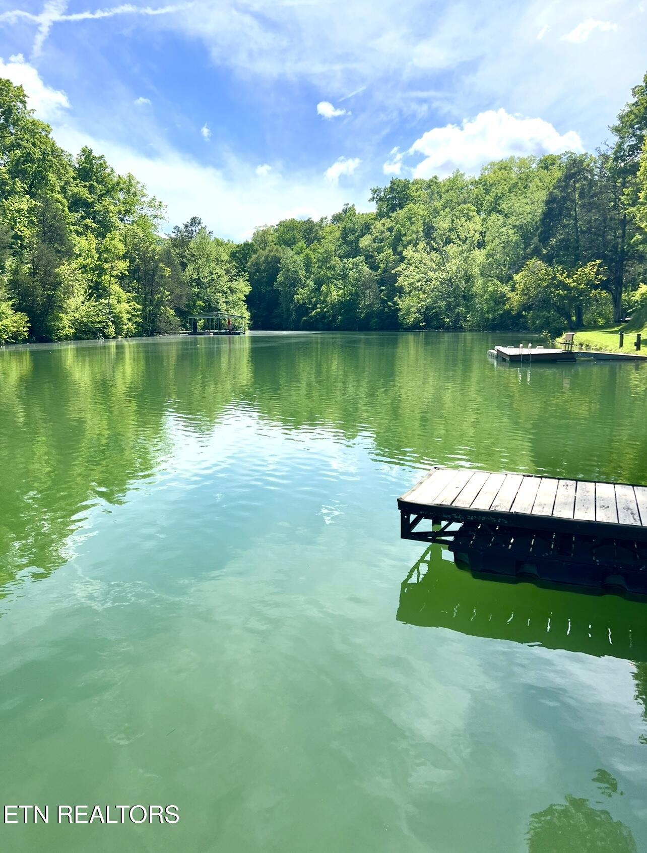 166 Jessee Road Maynardville, TN 37807 - Photo 48 of 48 IMG_0855