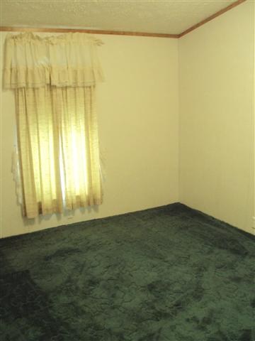 114 West F Street Alpha, IL 61413 - Photo 5 of 22 Gallery Image 5