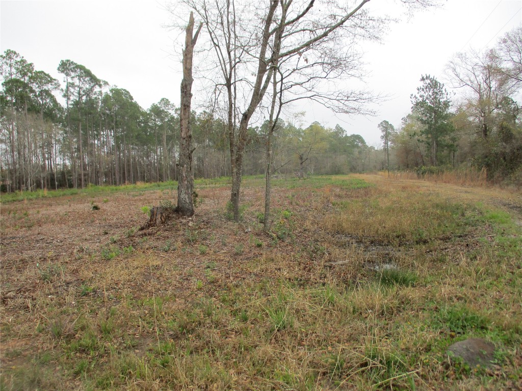 0 County Road 108 Road Hilliard, FL 32046 - Photo 1 of 6 Gallery Image 1