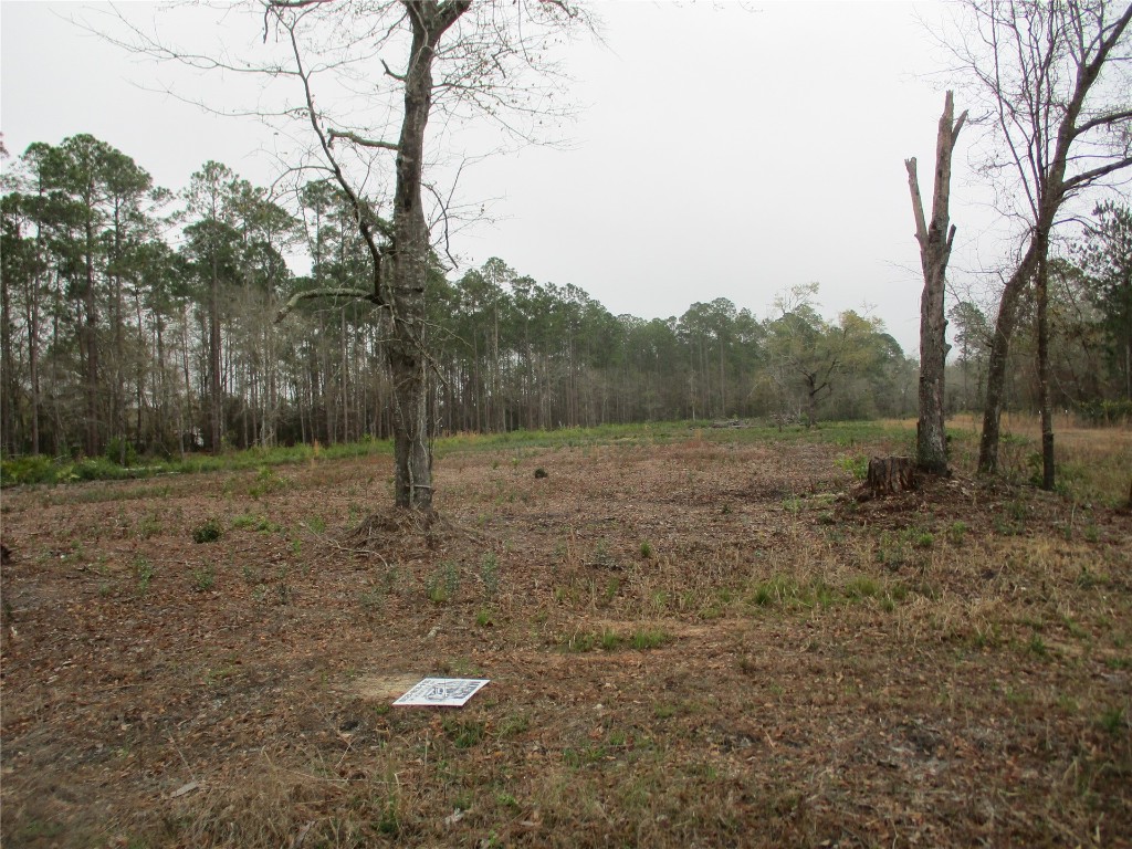 0 County Road 108 Road Hilliard, FL 32046 - Photo 3 of 6 Gallery Image 3