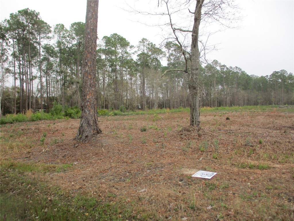 0 County Road 108 Road Hilliard, FL 32046 - Photo 4 of 6 Gallery Image 4