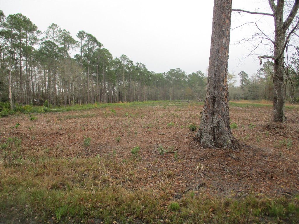 0 County Road 108 Road Hilliard, FL 32046 - Photo 5 of 6 Gallery Image 5