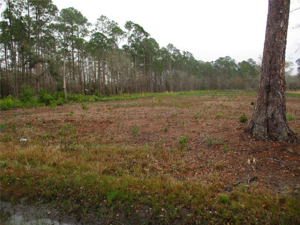 0 County Road 108 Road Hilliard, FL 32046 - Photo 6 of 6 Gallery Image 6