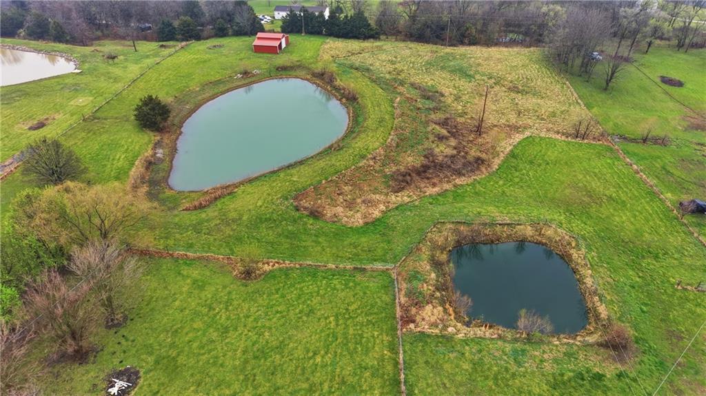 36903 East Church Road Oak Grove, MO 64075 - Photo 59 of 63