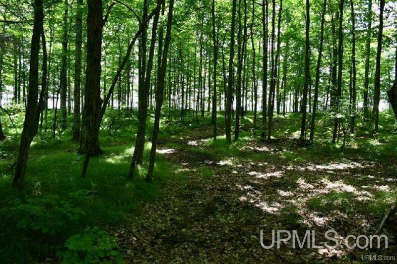 Lot#25 Fordville Road Foster City, MI 49834 - Photo 8 of 27