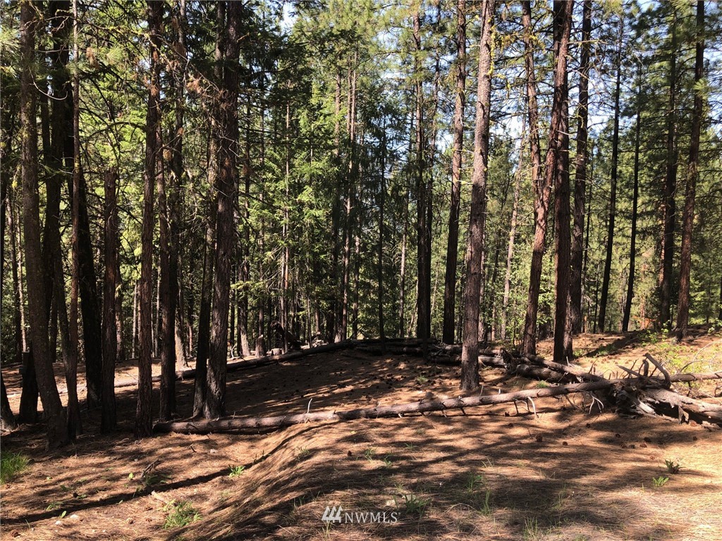 19 Quaking Aspen Road Winthrop, WA 98862 - Photo 14 of 19