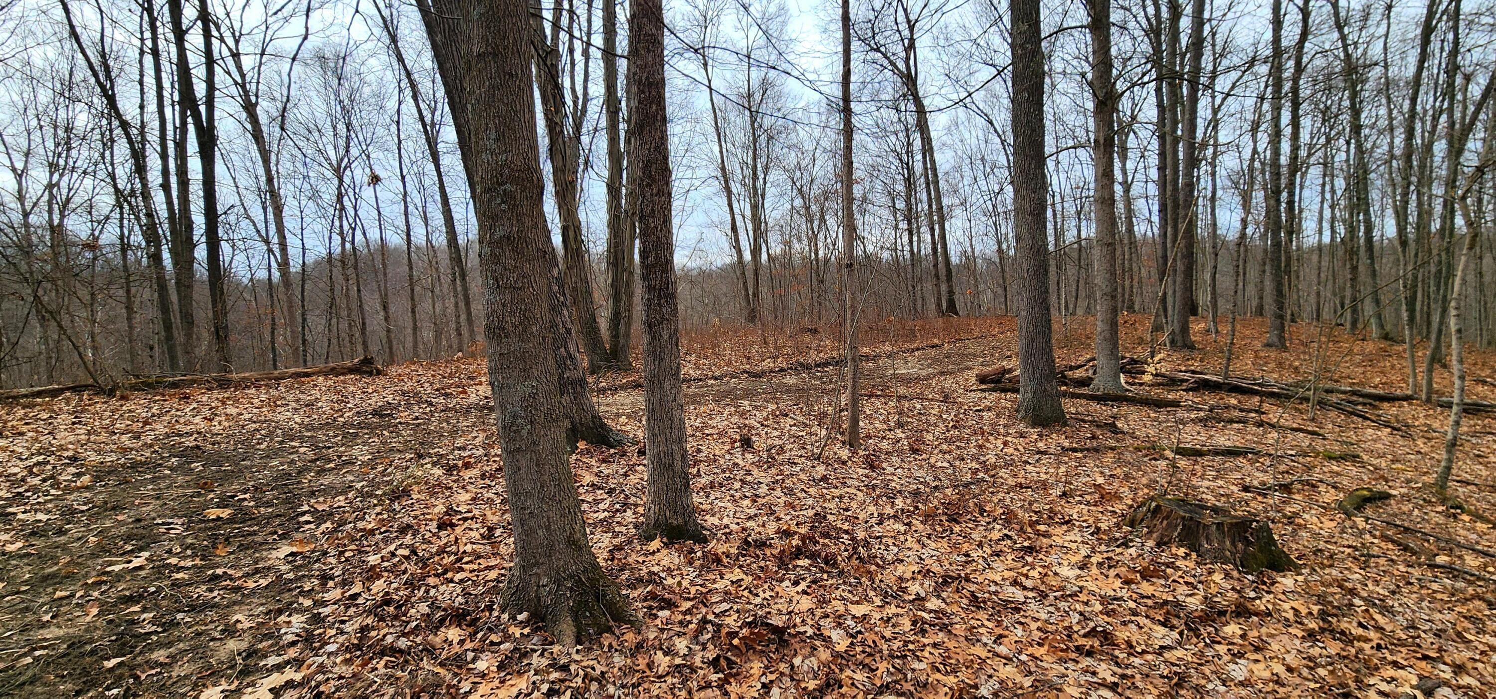 0 Edmundson Road, Unit TRACT 4 AT BIG TIMBER) Vinton, OH 45686 - Photo 49 of 67 20250307_115750