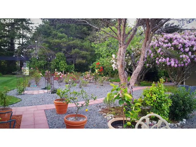 a picture of a flower pot