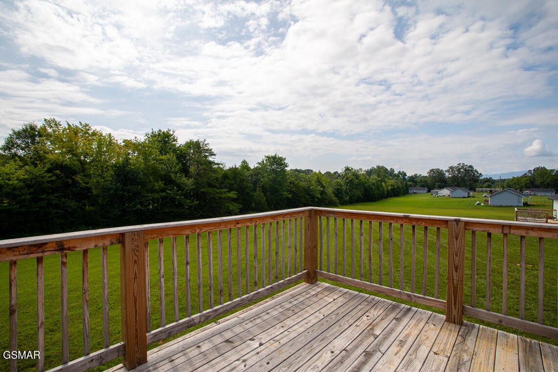 318 Harrison Ferry Road White Pine, TN 37890 - Photo 34 of 36