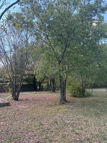 a view of a trees with a trees