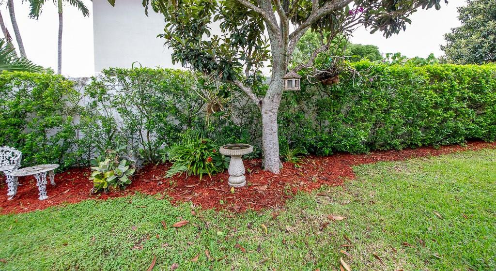 21552 Arbor Way Boca Raton, FL 33433 - Photo 44 of 46 Hang you Orchids on the Tree