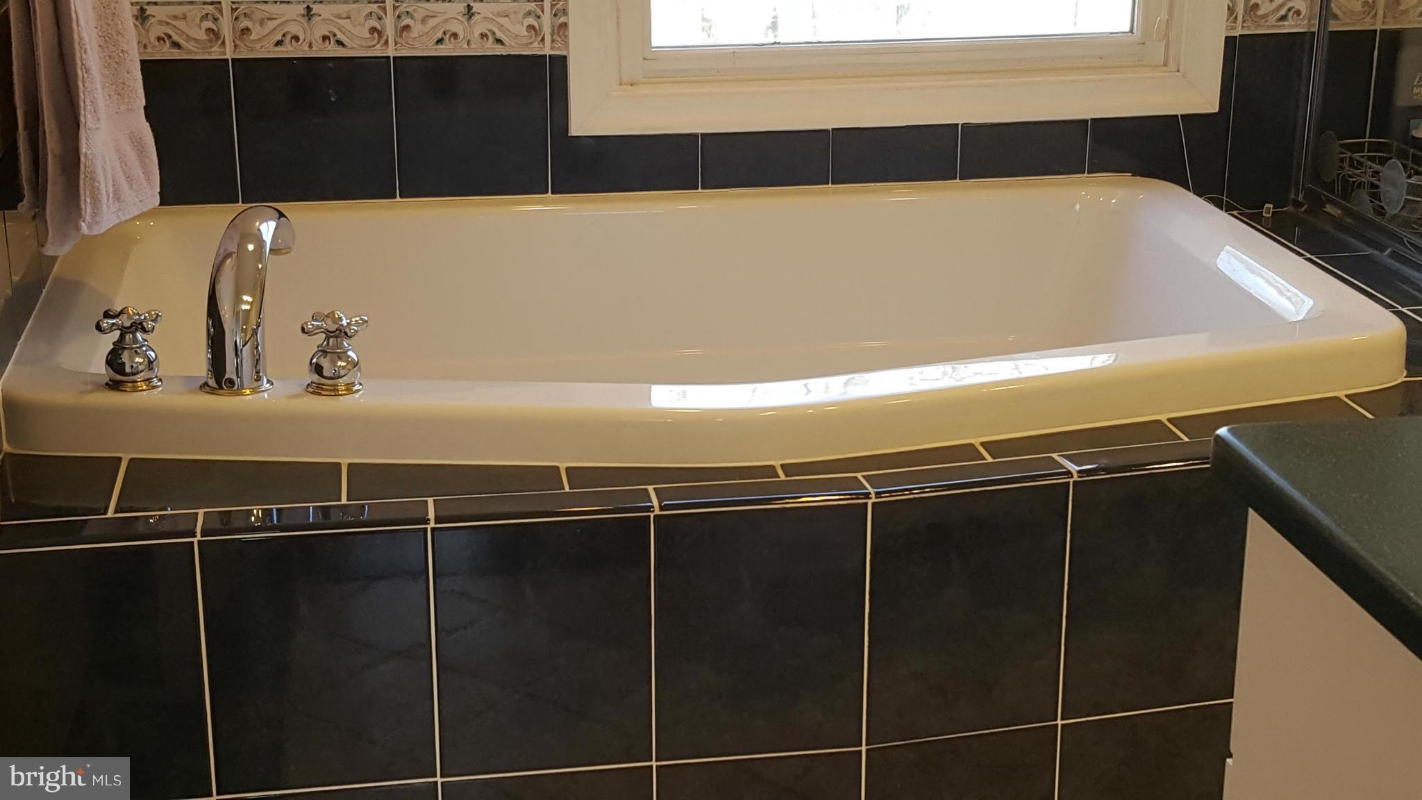 12600 Old Dorm Place Herndon, VA 20170 - Photo 11 of 19 Relax in your soak - in tub!