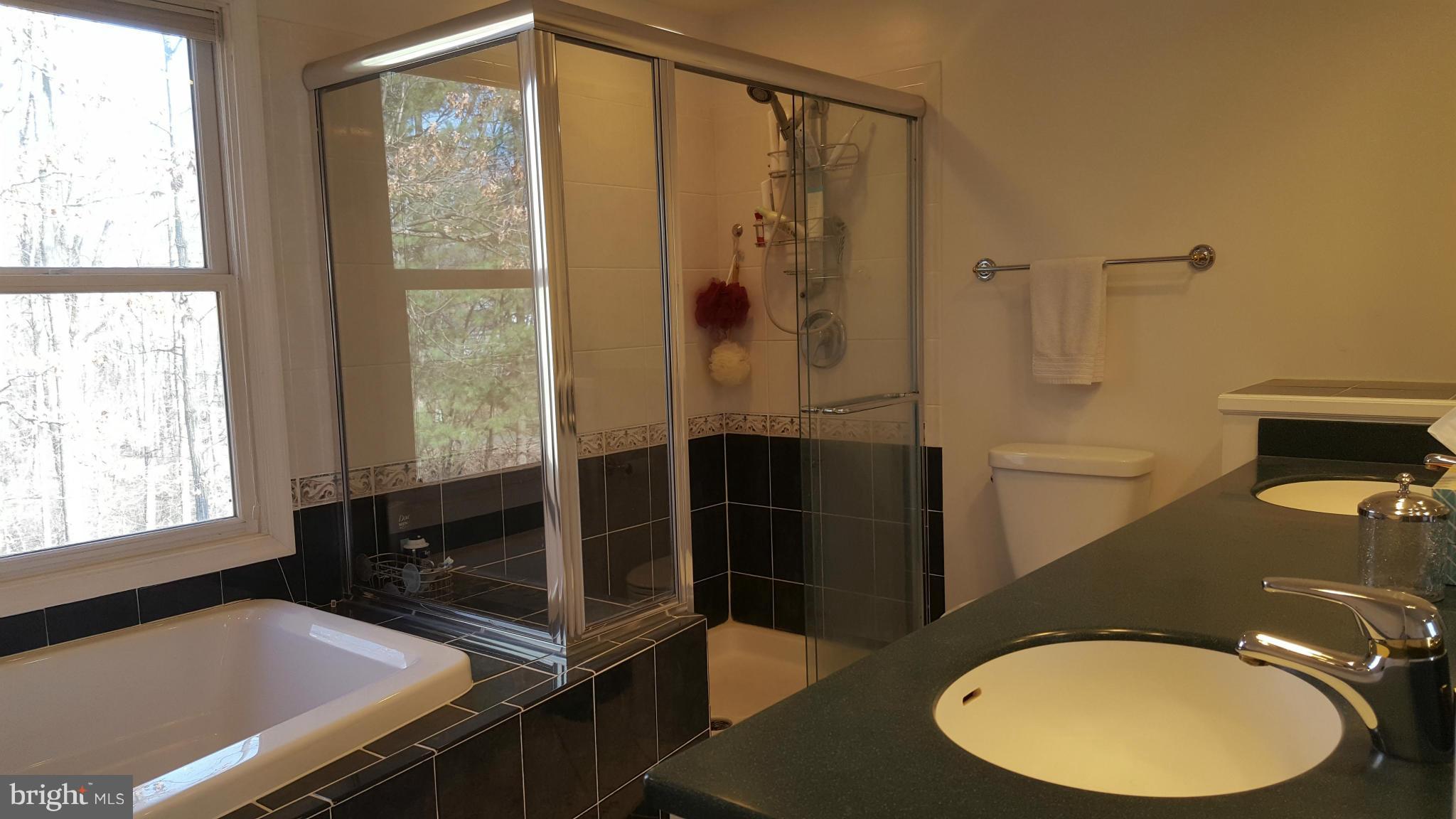 12600 Old Dorm Place Herndon, VA 20170 - Photo 9 of 19 Separate Shower