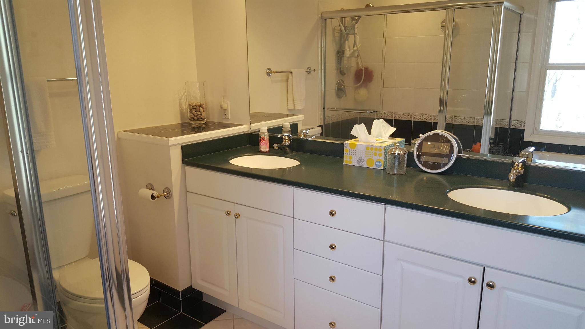 12600 Old Dorm Place Herndon, VA 20170 - Photo 10 of 19 Dual Sinks