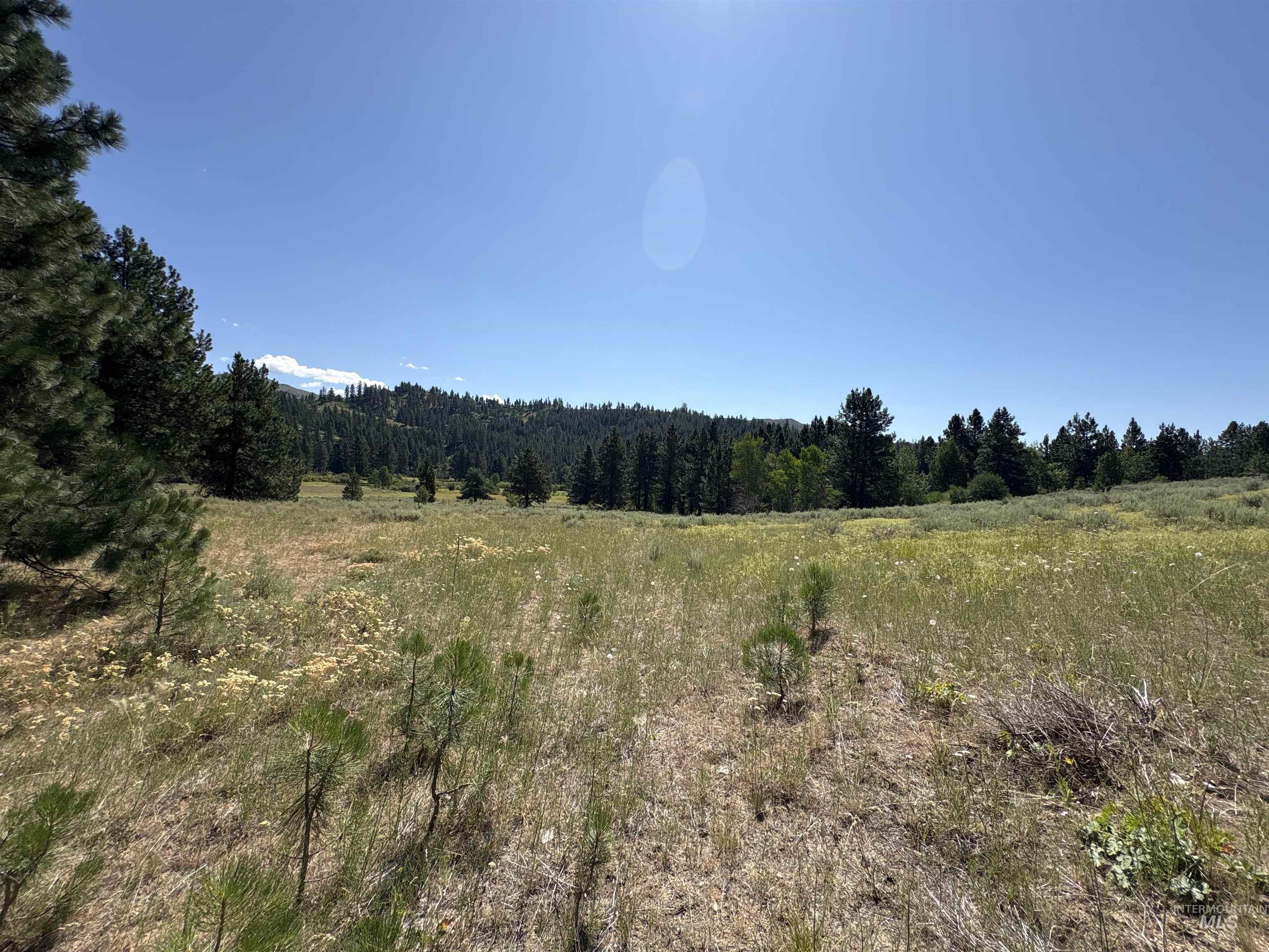 Tbd Smith Creek Road Mountain Home, ID 83647 - Photo 14 of 19