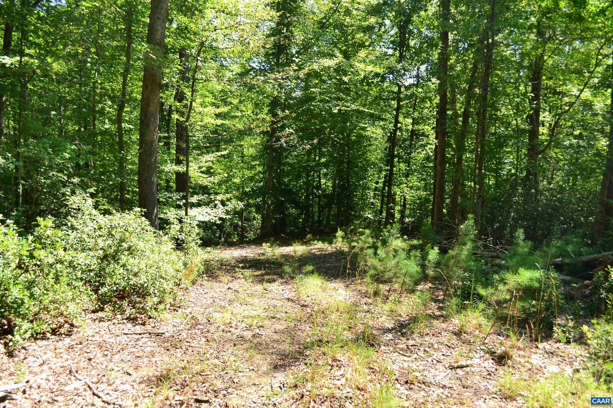 Tbd Damon Road, Unit 2 Schuyler, VA 22969 - Photo 6 of 14 Gallery Image 6