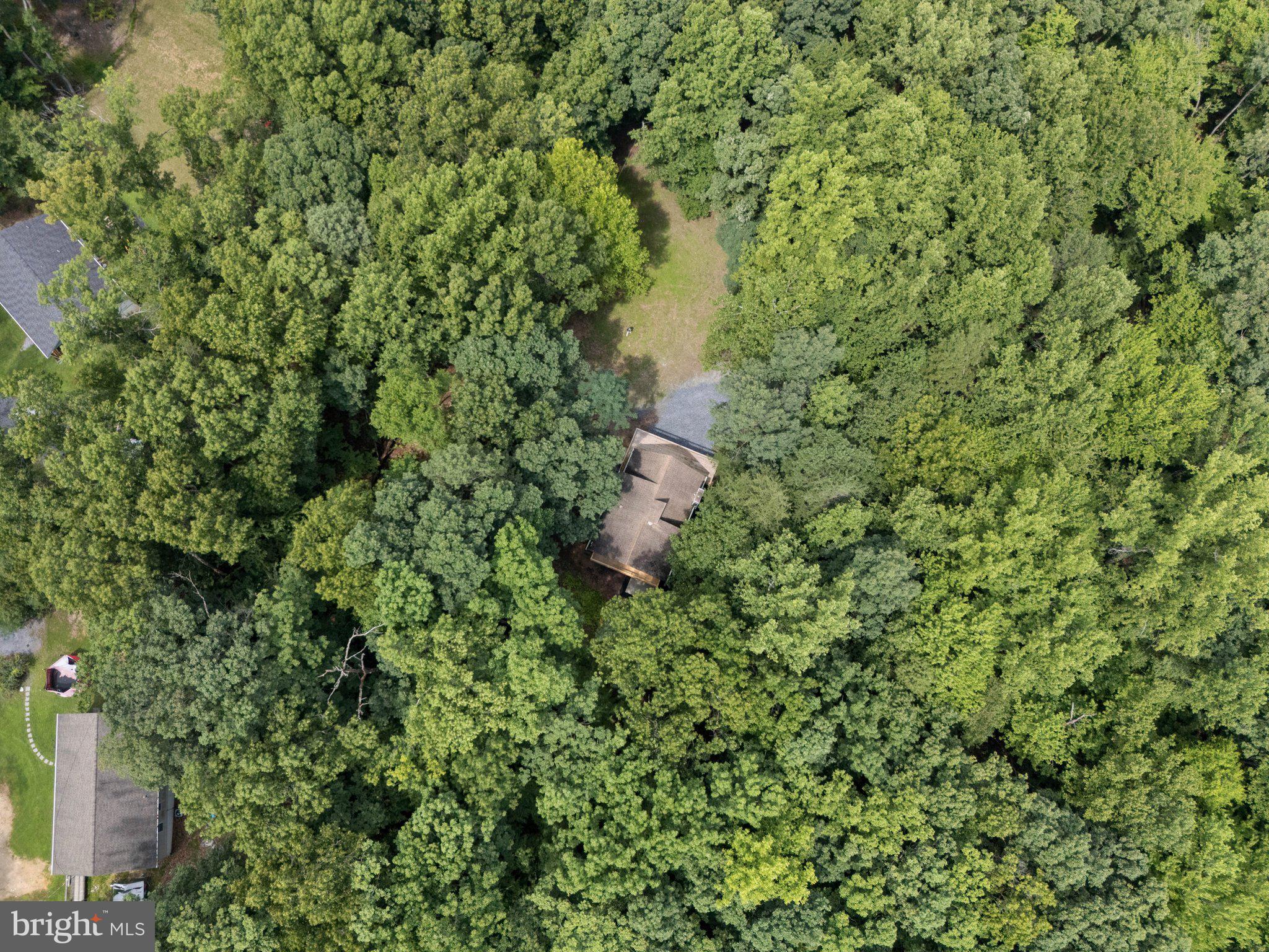 576 Manor Road Front Royal, VA 22630 - Photo 28 of 41 Secluded retreat amidst lush greenery.